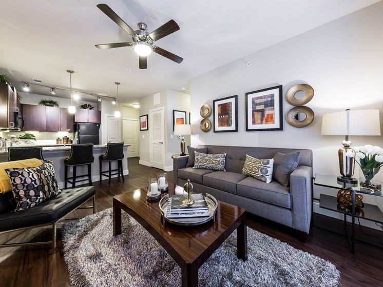 Well Furnished Apartment at Grand at the Dominion, San Antonio, 78257