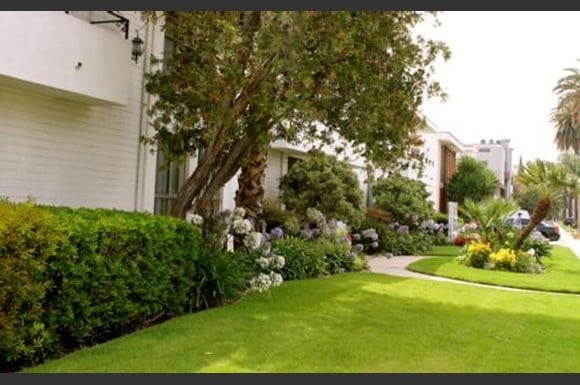 Lush Green Outdoor at Lido Apartments - 3610 Midvale Ave, Los Angeles, CA, 90034