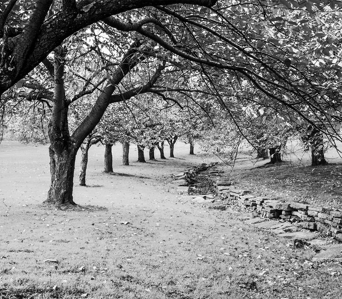 Picatinny Homes Rental Homes in Dover, NJ Floor Plans