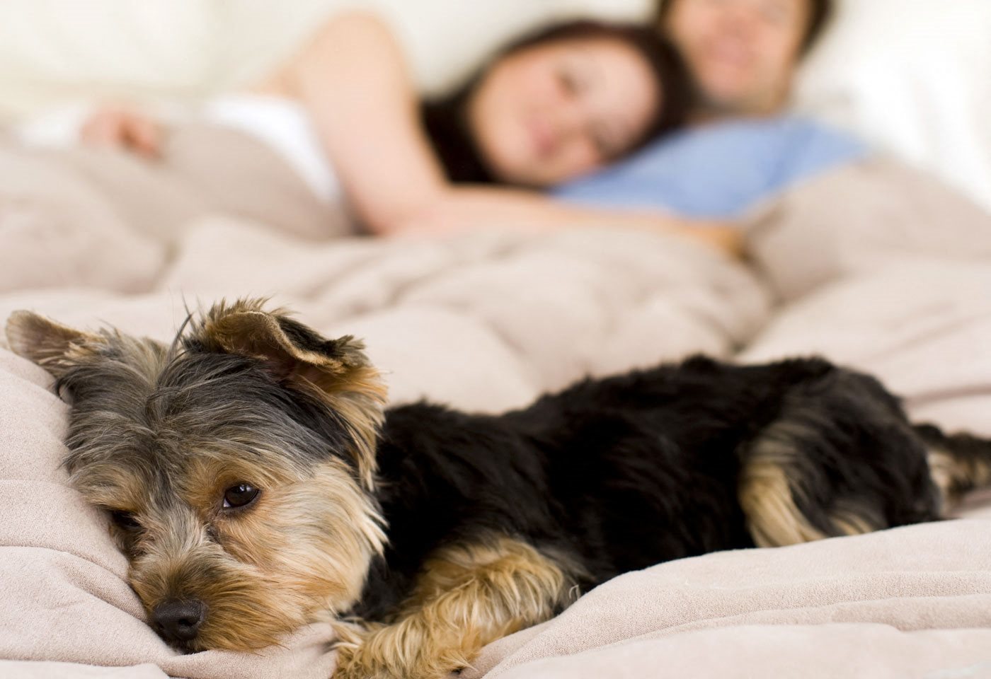 Killeen, Texas Apartments l Brookside Apartments