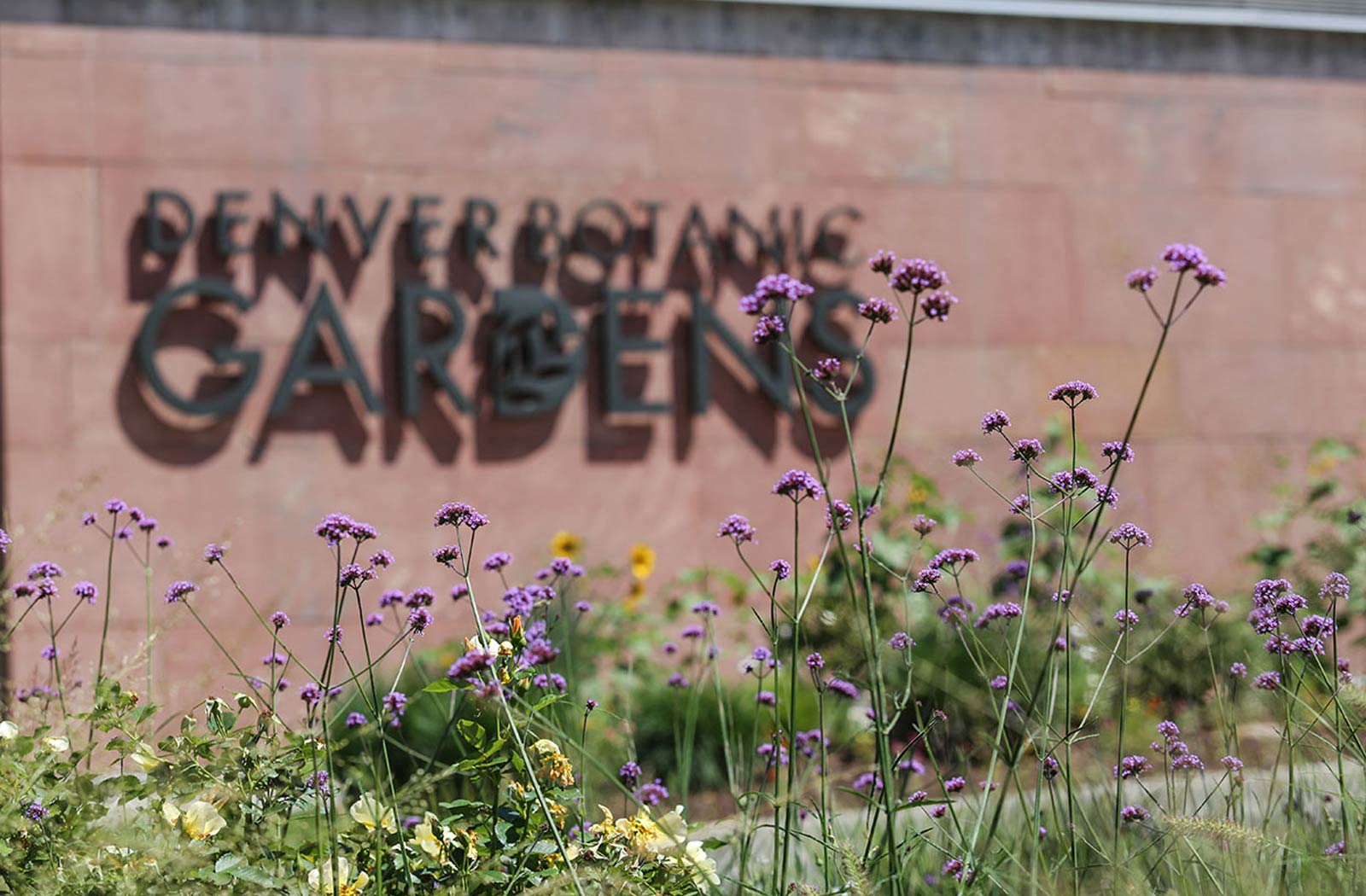 Just minutes away—escape into nature at the beautiful Denver Botanic Gardens