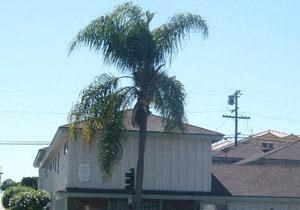 1602 W. Lomita Boulevard