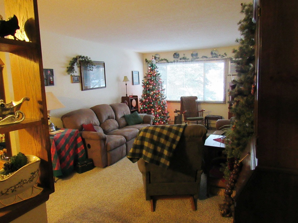 living room apartment forest lake MN