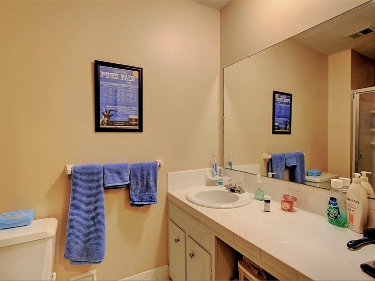 Image of bathroom with large vanity and mirror