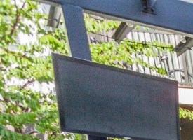 Landscaped outdoor resident courtyard with premium gas grilling stations and lounge seating at Station 650 luxury apartments.