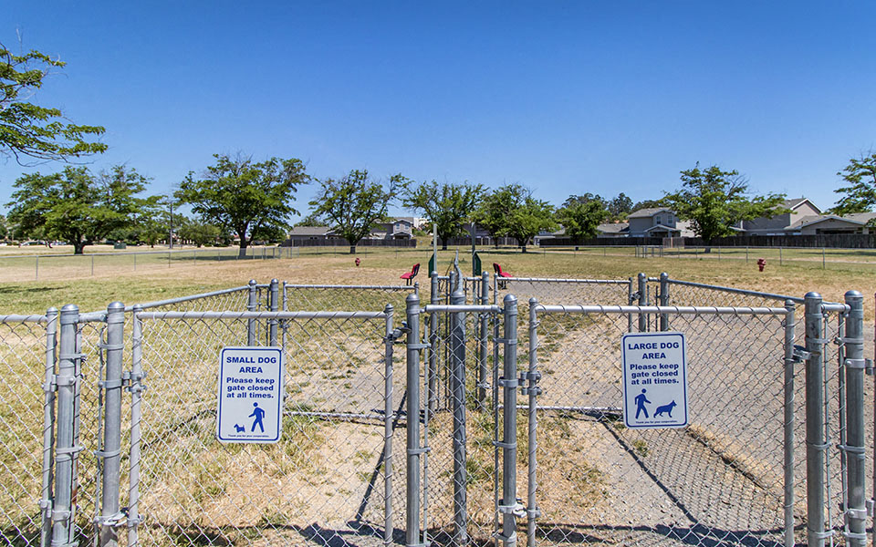 dog park