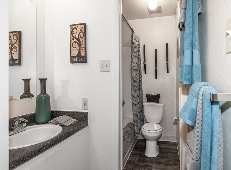 Bathroom with single sink on gray counter with white cabinets, mounted mirror, shower-bath combo, toilet and towel racks.
