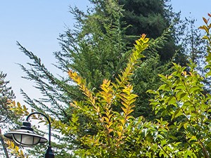 Photos of Our Apartments for Rent in Santa Cruz, CA