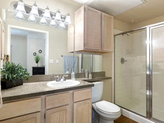 Bathroom with vanity and standing shower