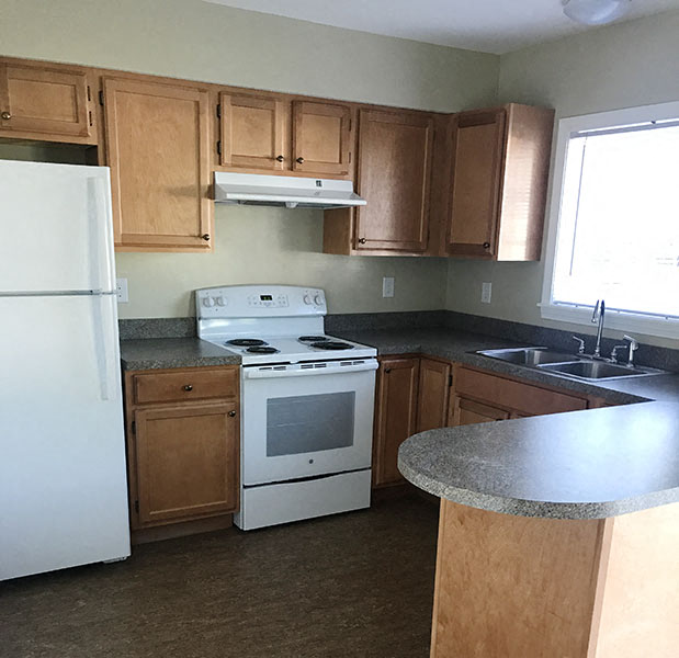 Kitchen featuring abundant new wooden cabinetry and plentiful counter space.