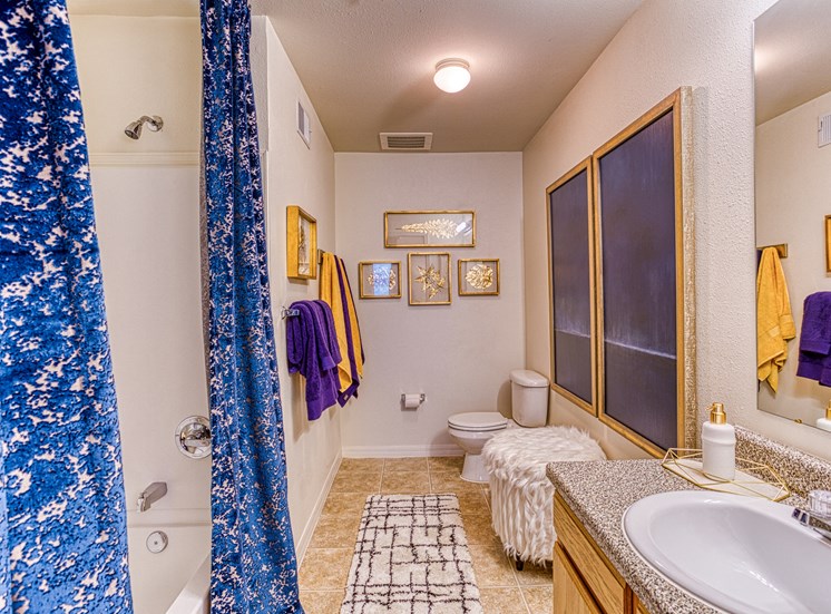 Bathroom with blue interior decor  at Alaris Village Apartments, Winston-Salem, NC