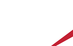 fort stewart logo
