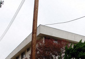 509 Evergreen St.