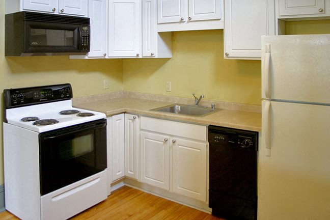 Gallery Photo 11