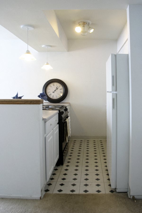 Gallery Photo 6