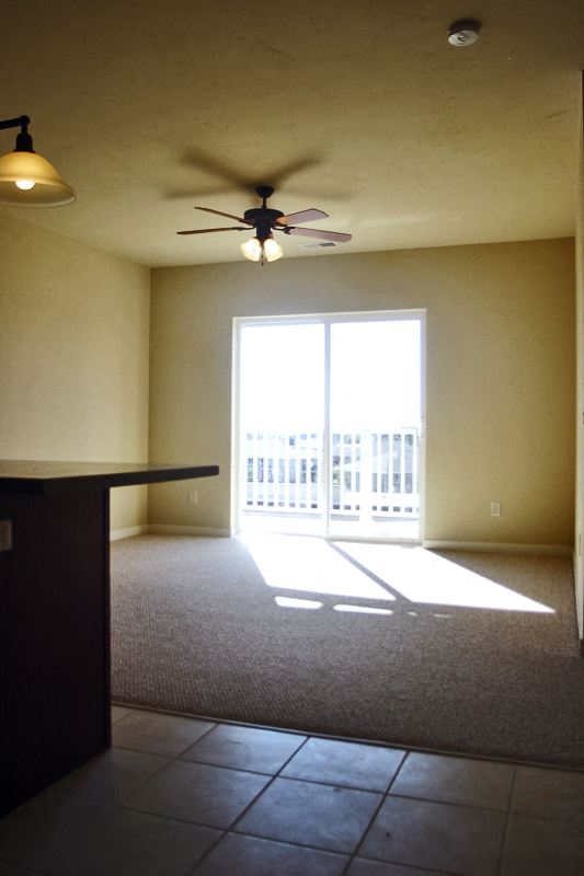 Gallery Photo 8