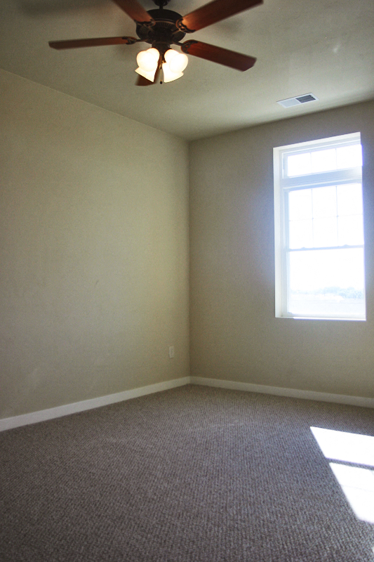 Gallery Photo 10