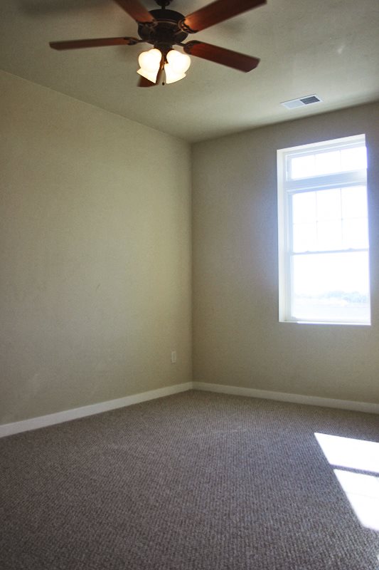 Gallery Photo 10