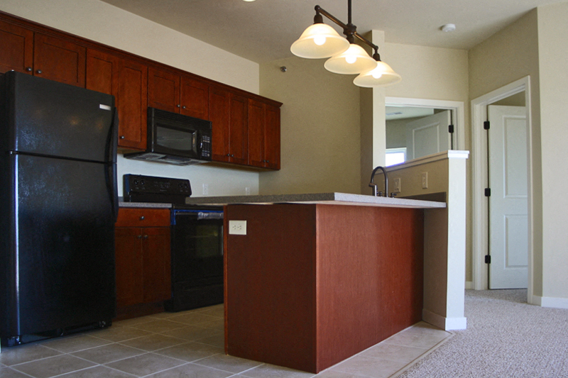 Gallery Photo 12