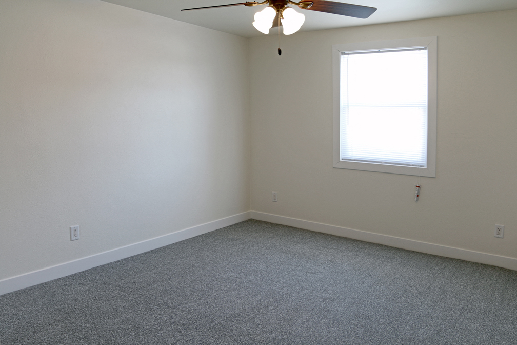 Gallery Photo 7