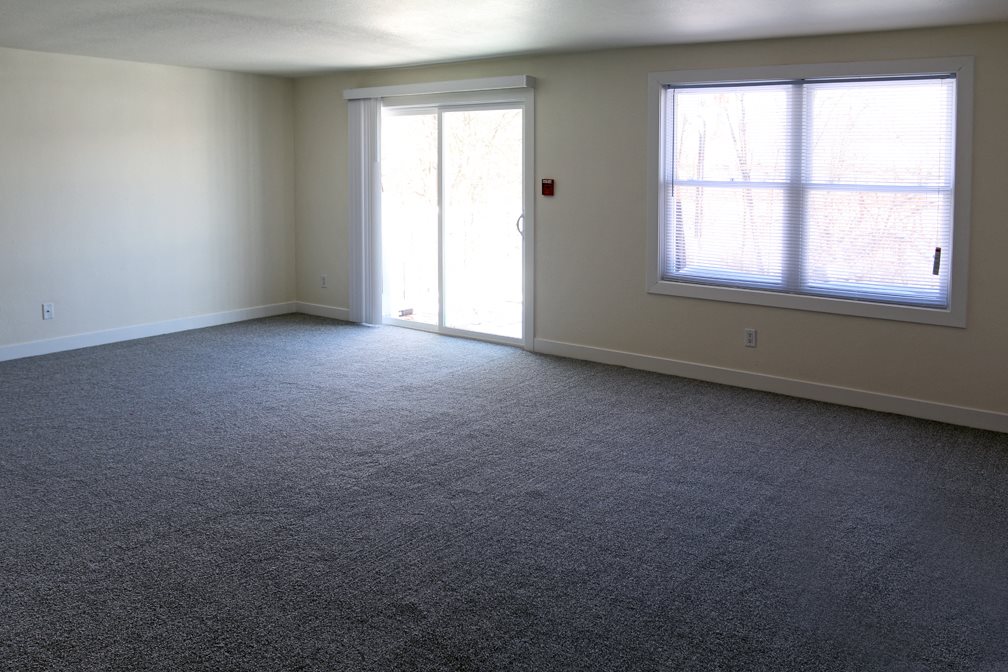 Gallery Photo 13