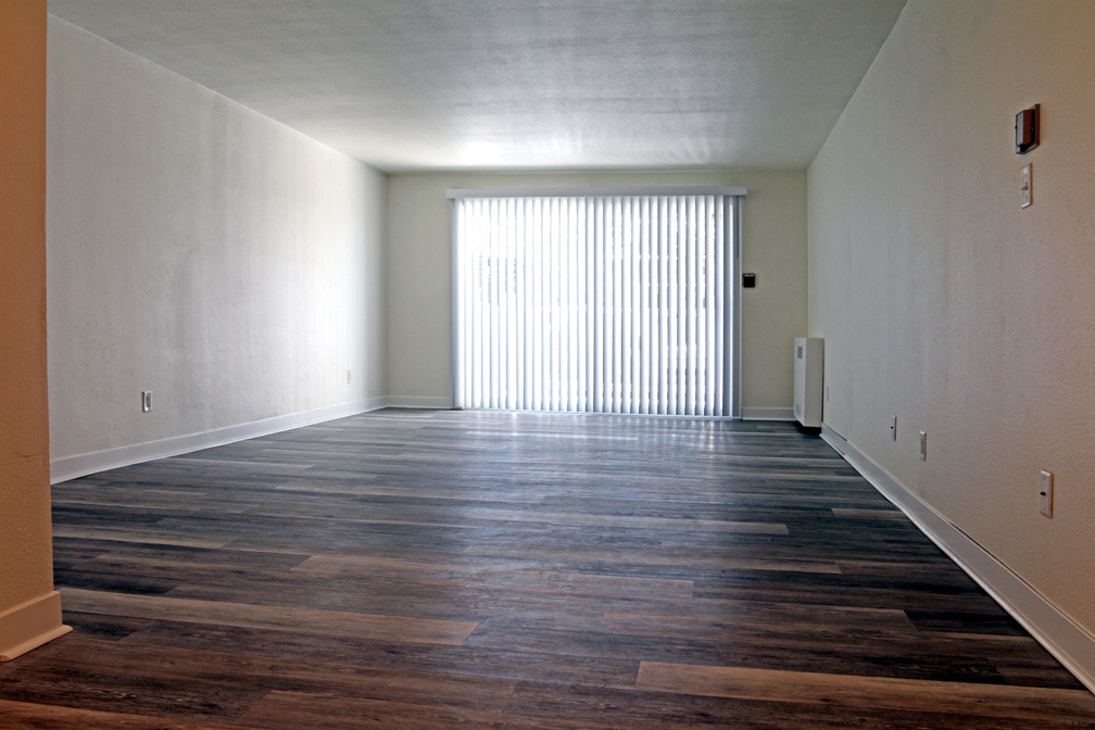 Gallery Photo 15