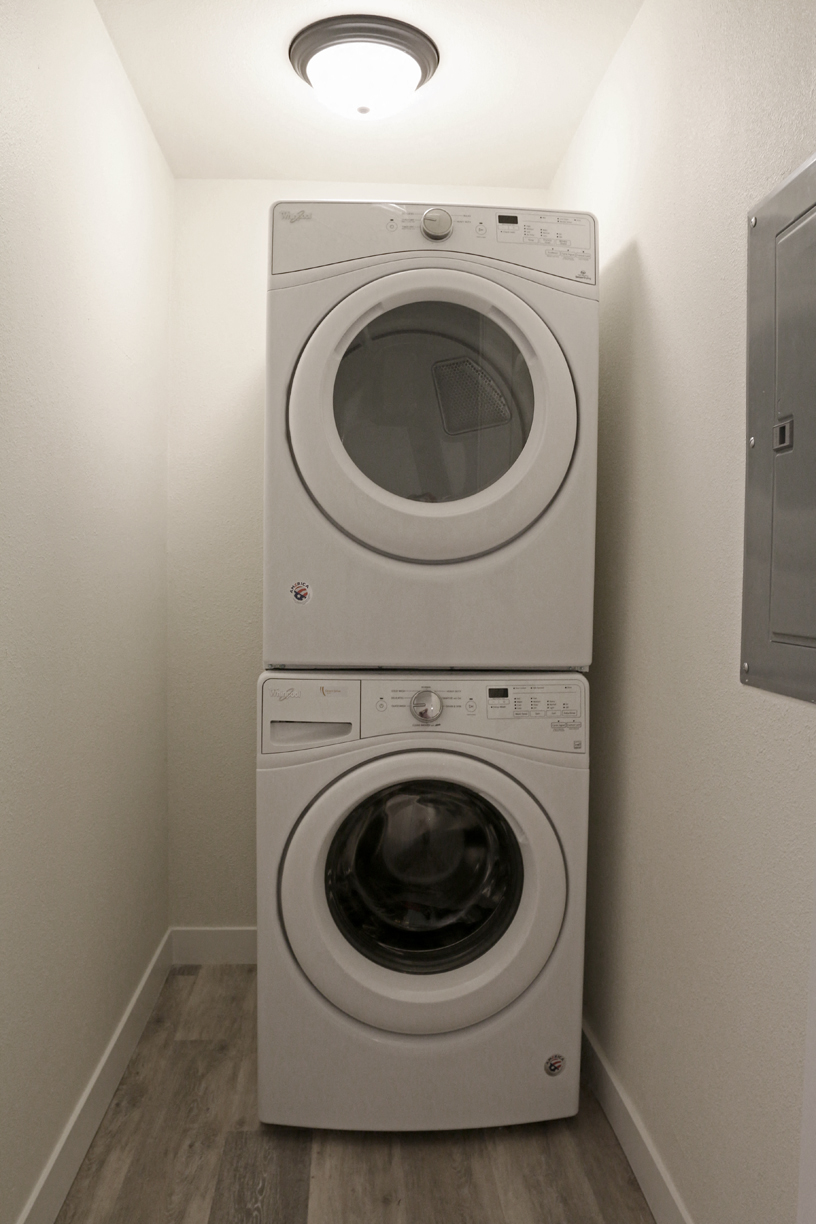 Gallery Photo 31