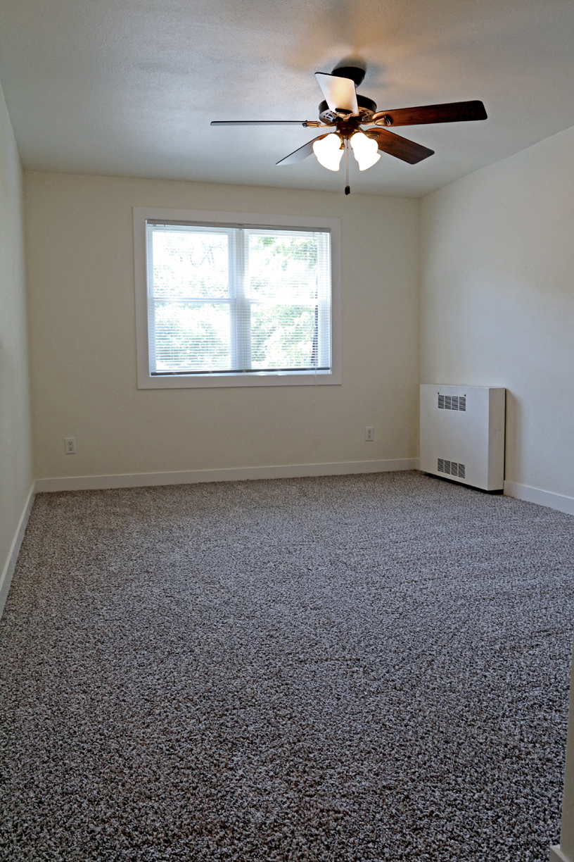 Gallery Photo 42