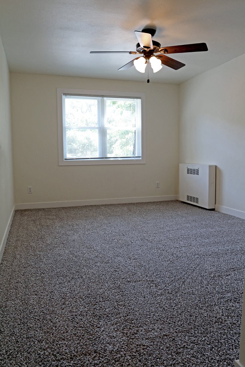 Gallery Photo 42