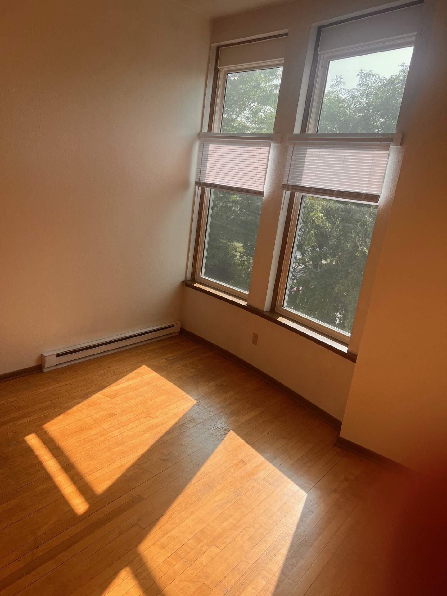 Gallery Photo 19