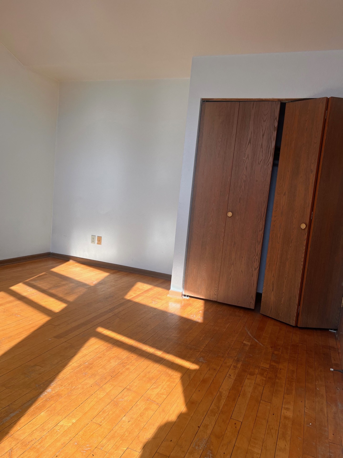 Gallery Photo 18