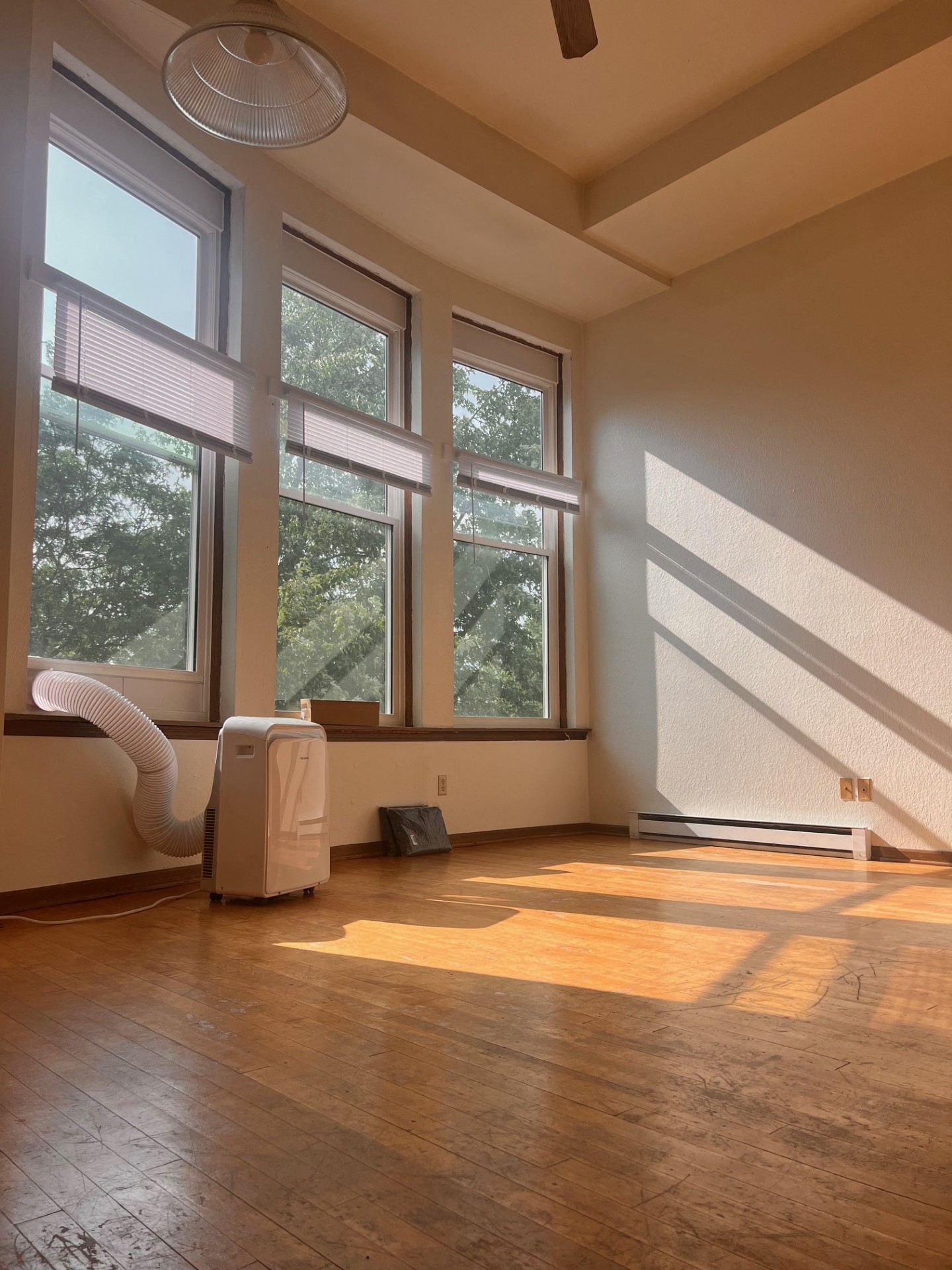Gallery Photo 16