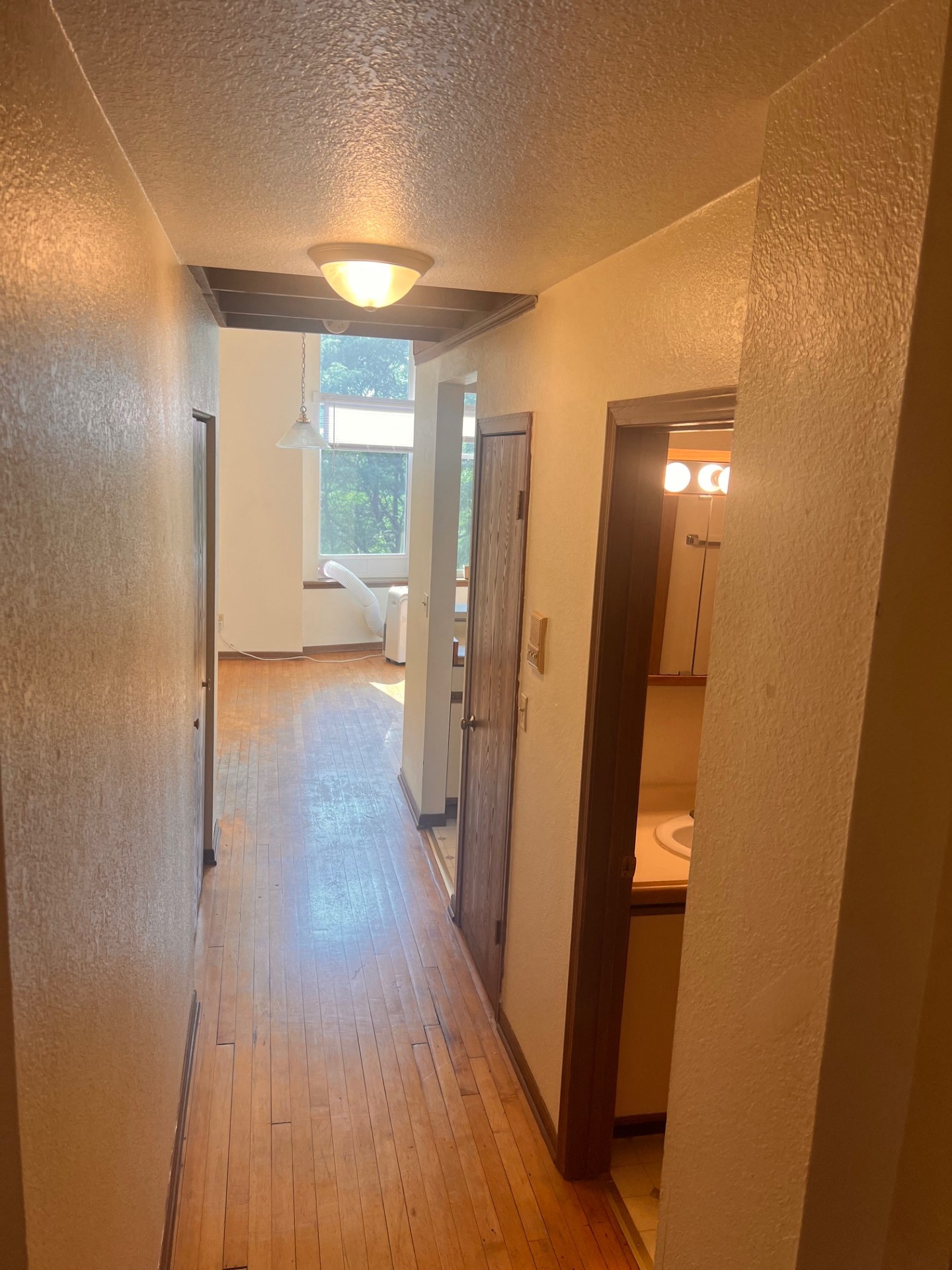 Gallery Photo 12