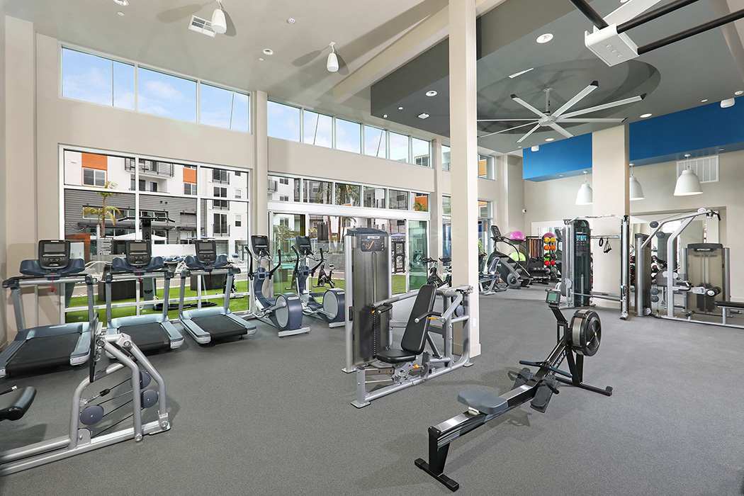 Gym with cardio equipment and weights, large windows at Eleven 10 in Orange, CA
