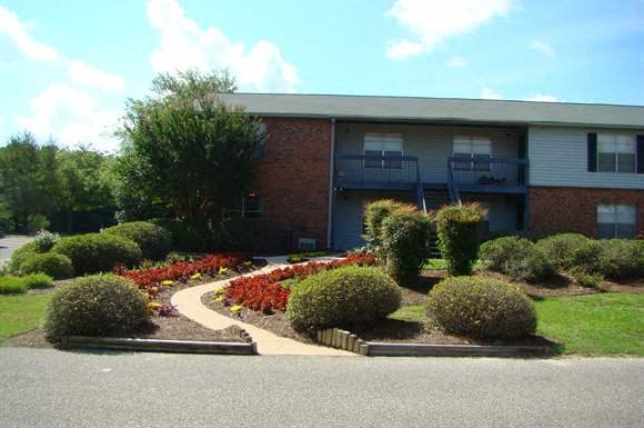 Gallery Photo 1