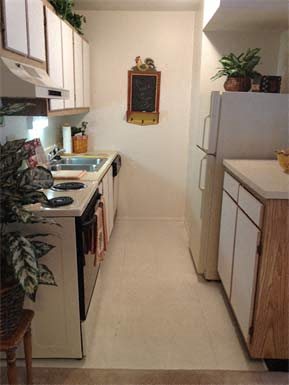 Gallery Photo 18