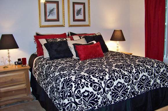 Gallery Photo 19