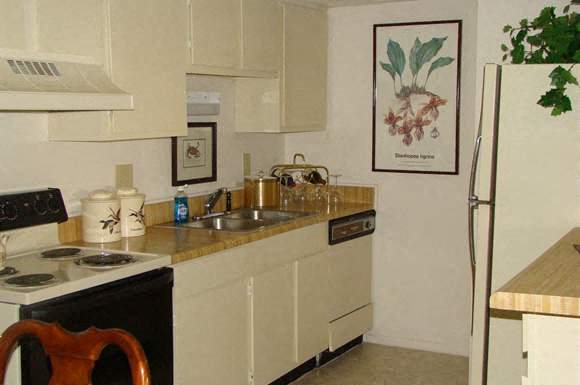 Gallery Photo 10