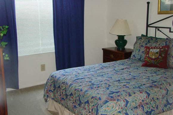 Gallery Photo 11
