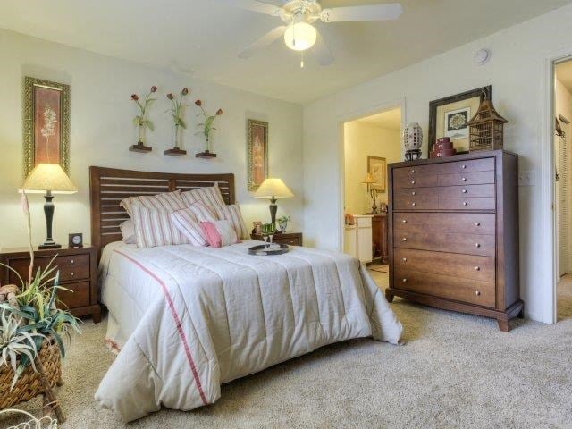 Cozy Master Bedroom Detail at Ascot Point Village Apartments, Asheville, North Carolina