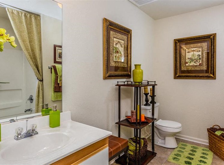 Spacious Bathrooms at Hidden Creek Village Apartments, Fayetteville