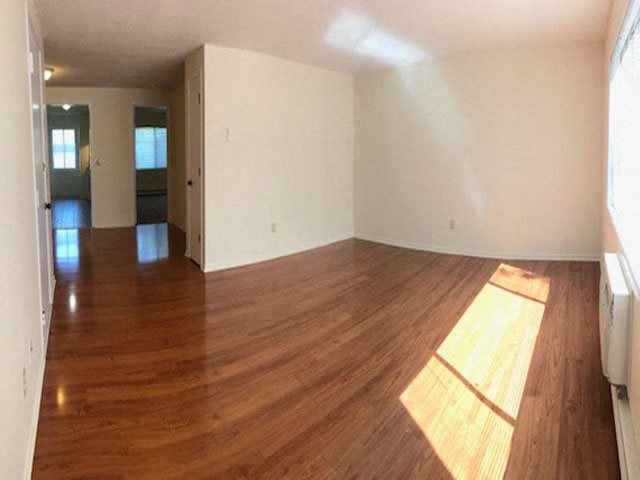 Gallery Photo 2