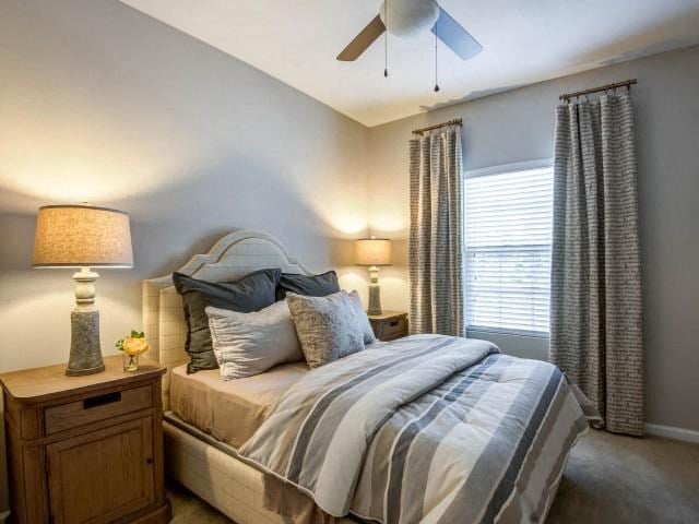 Private Master Bedroom at Bacarra Apartments, North Carolina, 27606