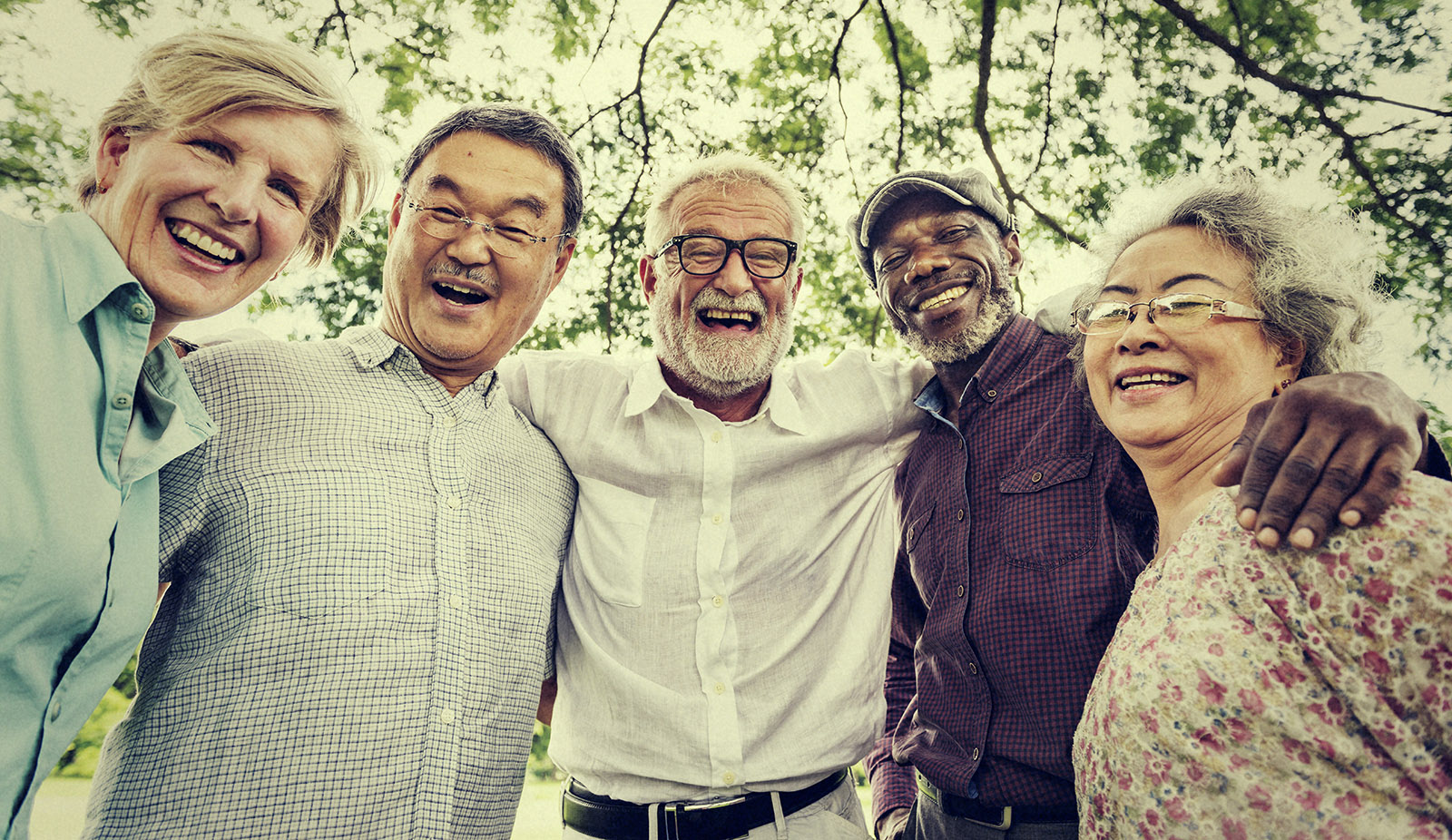 Maple Terrace Apartments in Maple Plain, MN