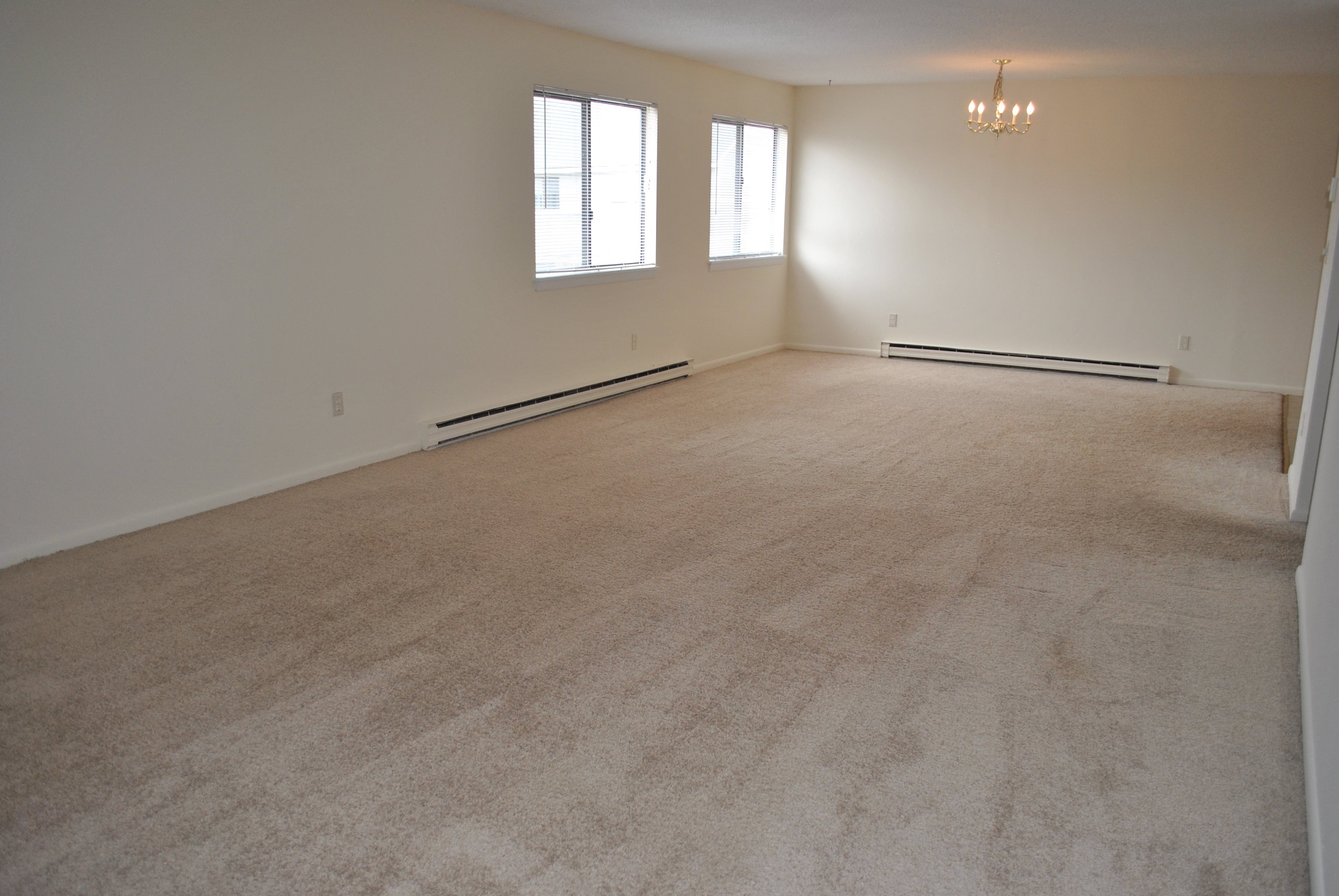 Gallery Photo 1