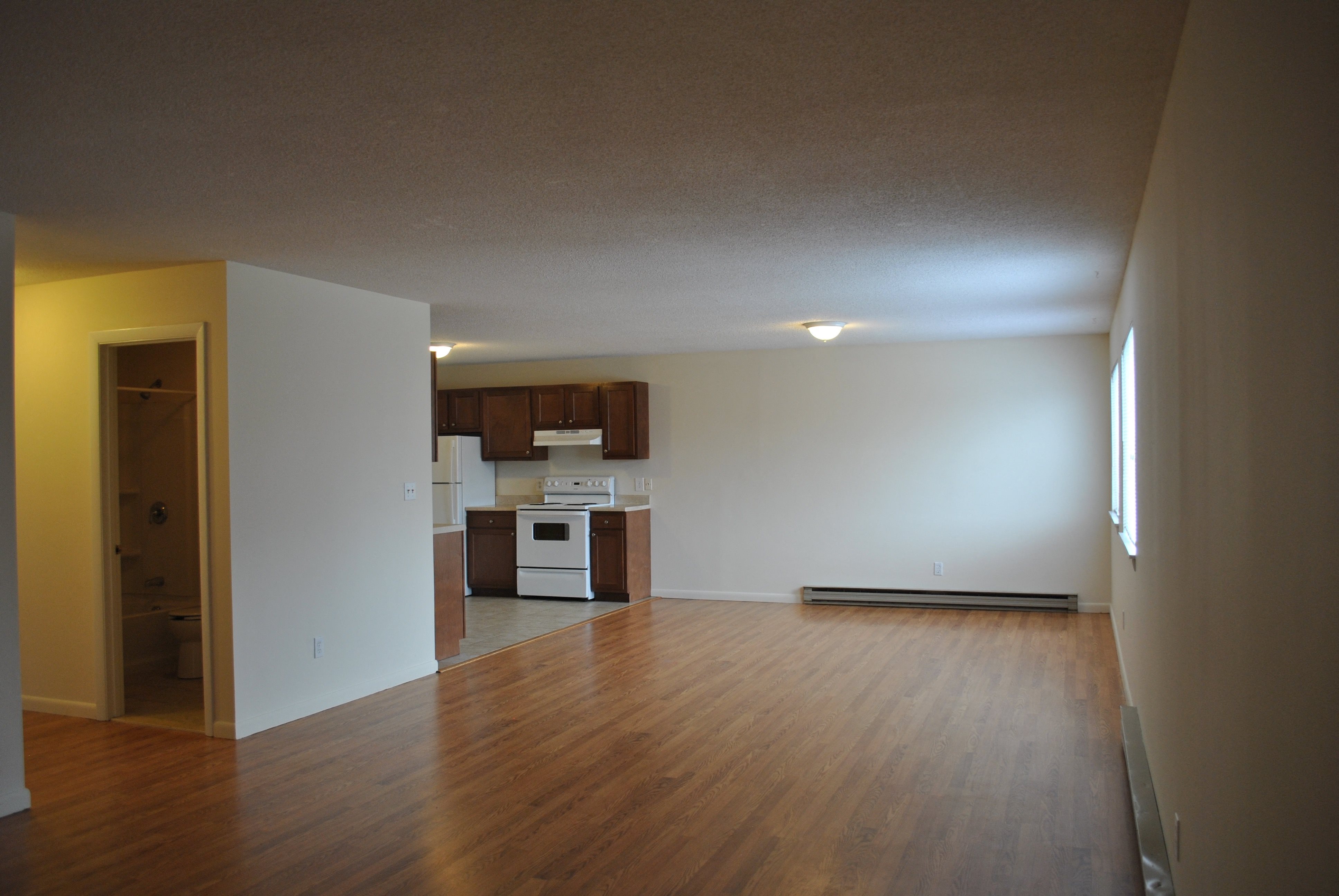 Gallery Photo 2