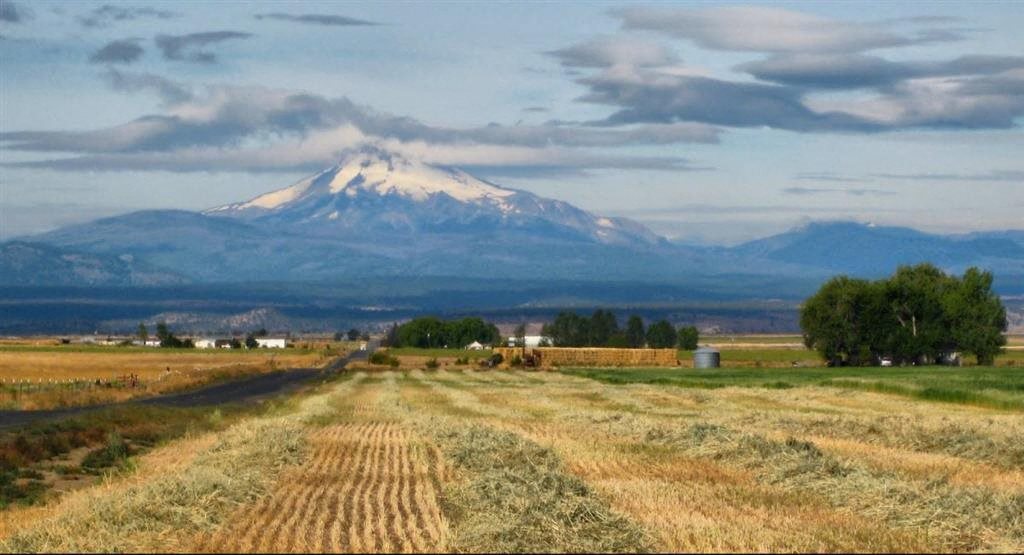 Menta Park Apartments in Madras, OR
