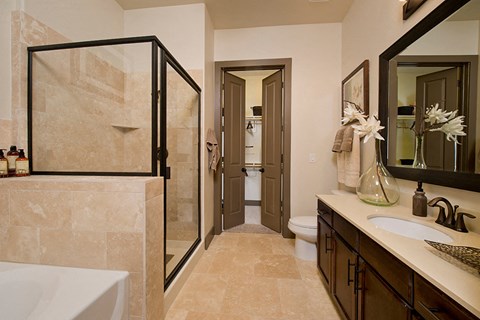 Bathoom with Walk-In Shower and Separate Soaking Tub