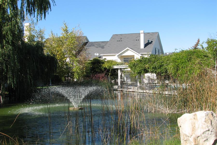 Gallery Photo 31