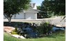 Gallery Image 42